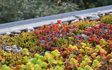 the cost of Pitlochry green roof installation